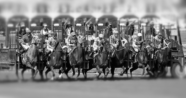pexels-james-anthony-169333604-11341104-bw-blur.png